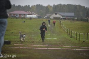 Dog-Trail