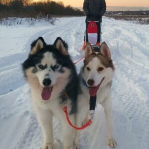 Лекс & Луна